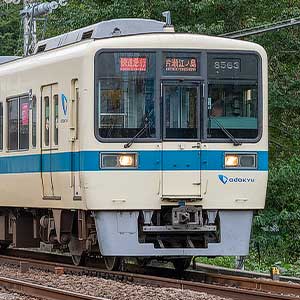 minc}8000niXVԁEԔԑIj